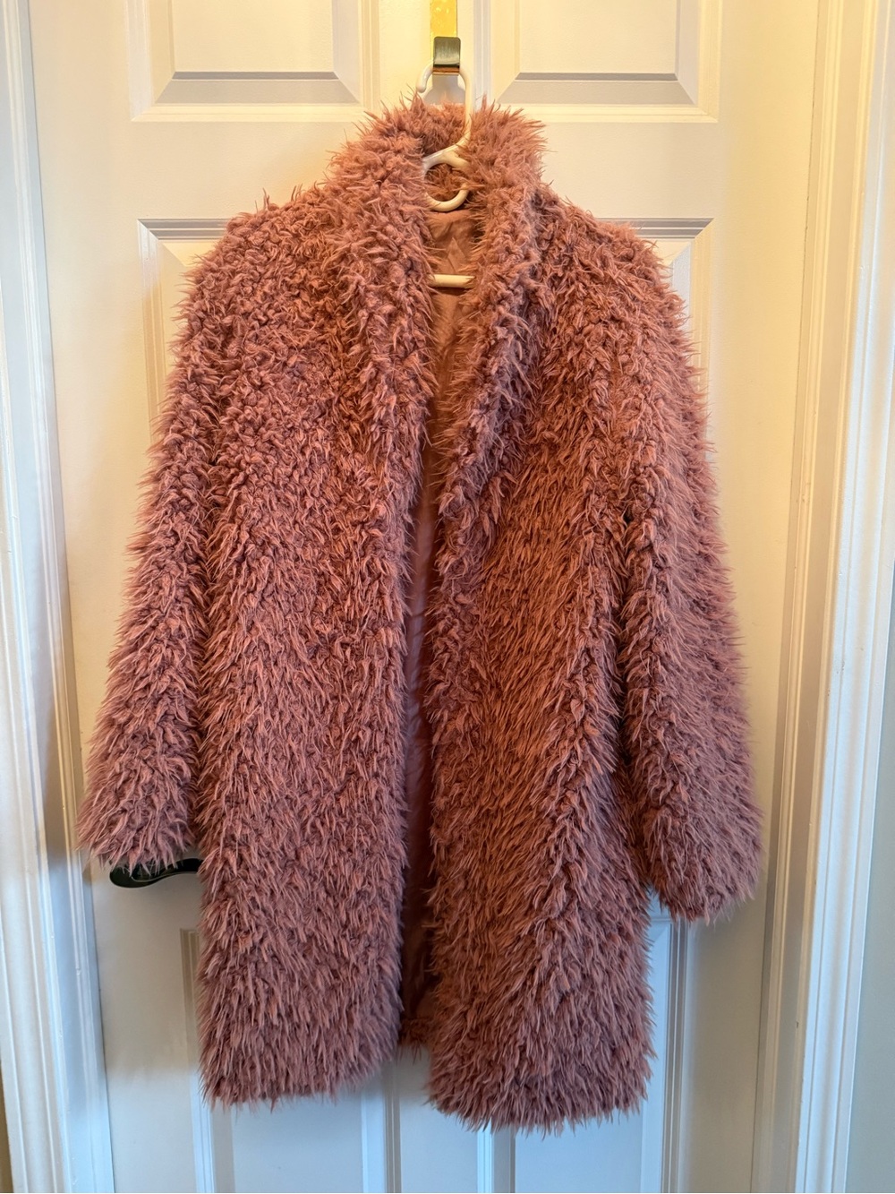 wild fable Plush Teddy Coat in Dusty Mauve
